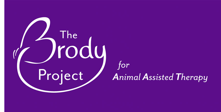 The Brody Project